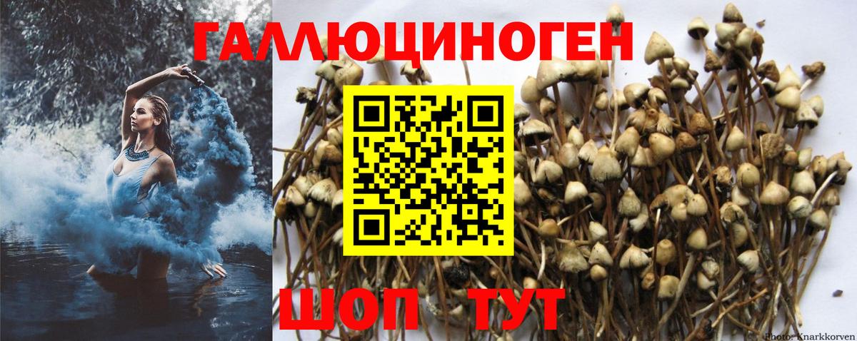 Псилоцибиновые грибы Psilocybe  Псилоцибиновые грибы MAGIC MUSHROOMS  Артёмовский  где найти наркотики  Вход с VPN 