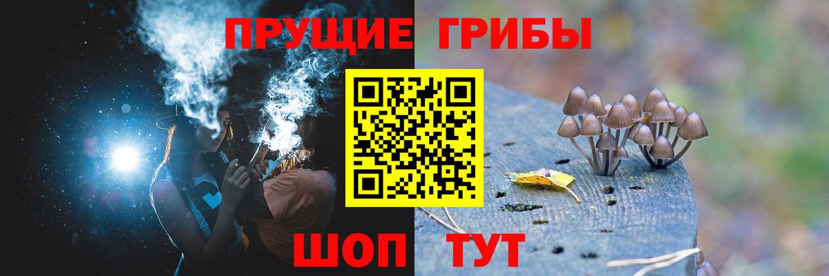 Галлюциногенные грибы GOLDEN TEACHER Артёмовский